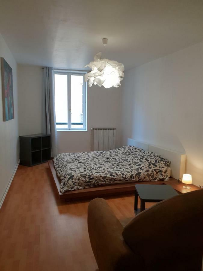 Grand Appartement En Centre Ville ميتز المظهر الخارجي الصورة